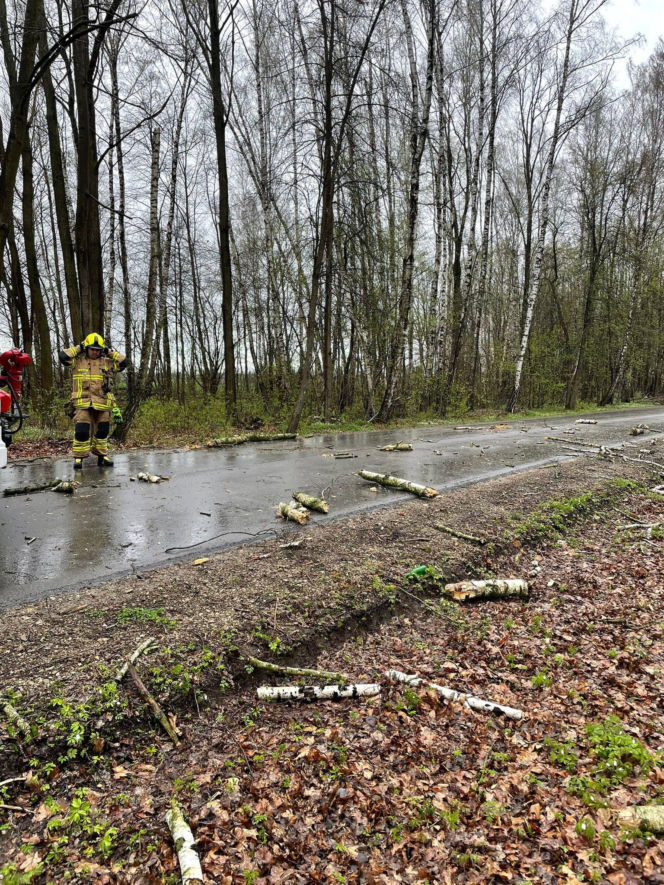 Powiat siedlecki: liczne interwencje strażaków w związku z wichurą
