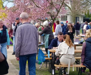 Pchli targ na Pogodnie