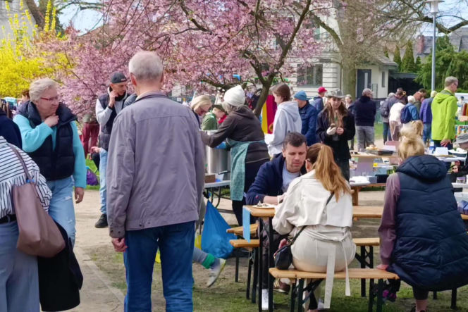 Pchli targ na Pogodnie