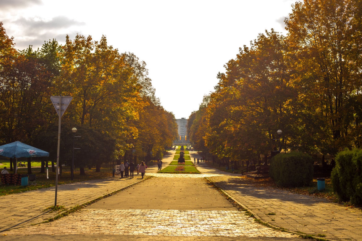 Park Śląski jesienią jest naprawdę piękny