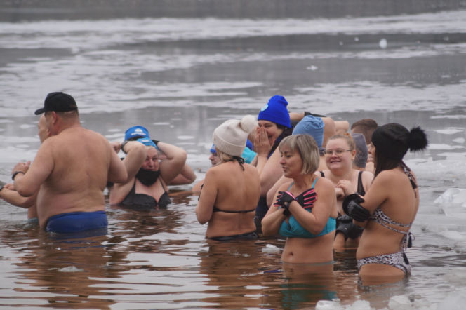 Lodowata woda, gorące emocje. Morsy znów opanowały jezioro pod Bydgoszczą