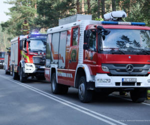 Walka z pożarem pod Biłgorajem. Szef MSWiA: „Jesteśmy umiarkowanymi optymistami”