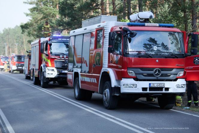 Walka z pożarem pod Biłgorajem. Szef MSWiA: „Jesteśmy umiarkowanymi optymistami”
