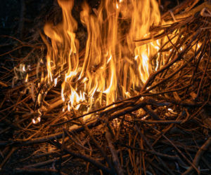 Palenie gałęzi na działce jest zakazane, ale jest jeden wyjątek