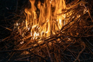 Palenie gałęzi na działce jest zakazane, ale jest jeden wyjątek