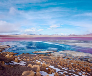 Laguna Colorada Jezioro w Boliwii
