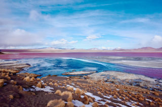 Laguna Colorada Jezioro w Boliwii