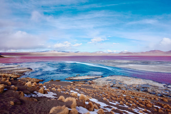 Laguna Colorada Jezioro w Boliwii