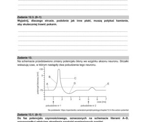 Matura 2021: Biologia. Arkusze CKE z biologii znajdziesz tutaj [Matura 12.05.2021]