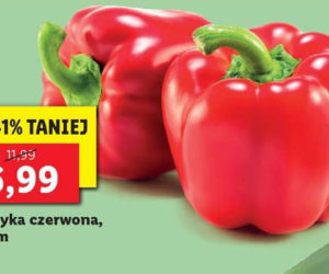 Promocje w Lidlu na sobotę
