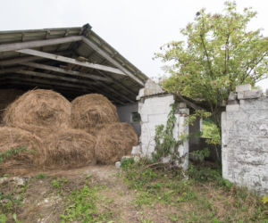 Zamordowali Patrycję i Klaudię