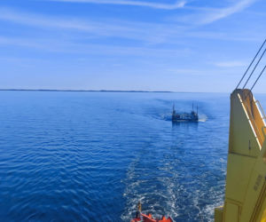 Wielkie akwarium na holu. Kulisy misji ratunkowej humbaka Timmy’ego.