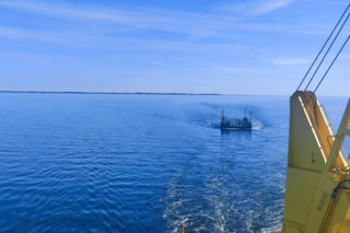 Akcja ratunkowa humbaka Timmiego