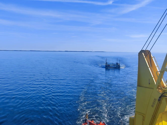 Akcja ratunkowa humbaka Timmiego