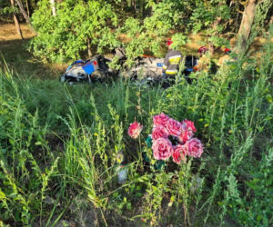 Tragiczny wypadek na DK 10 pod Toruniem! Nie żyje mężczyzna