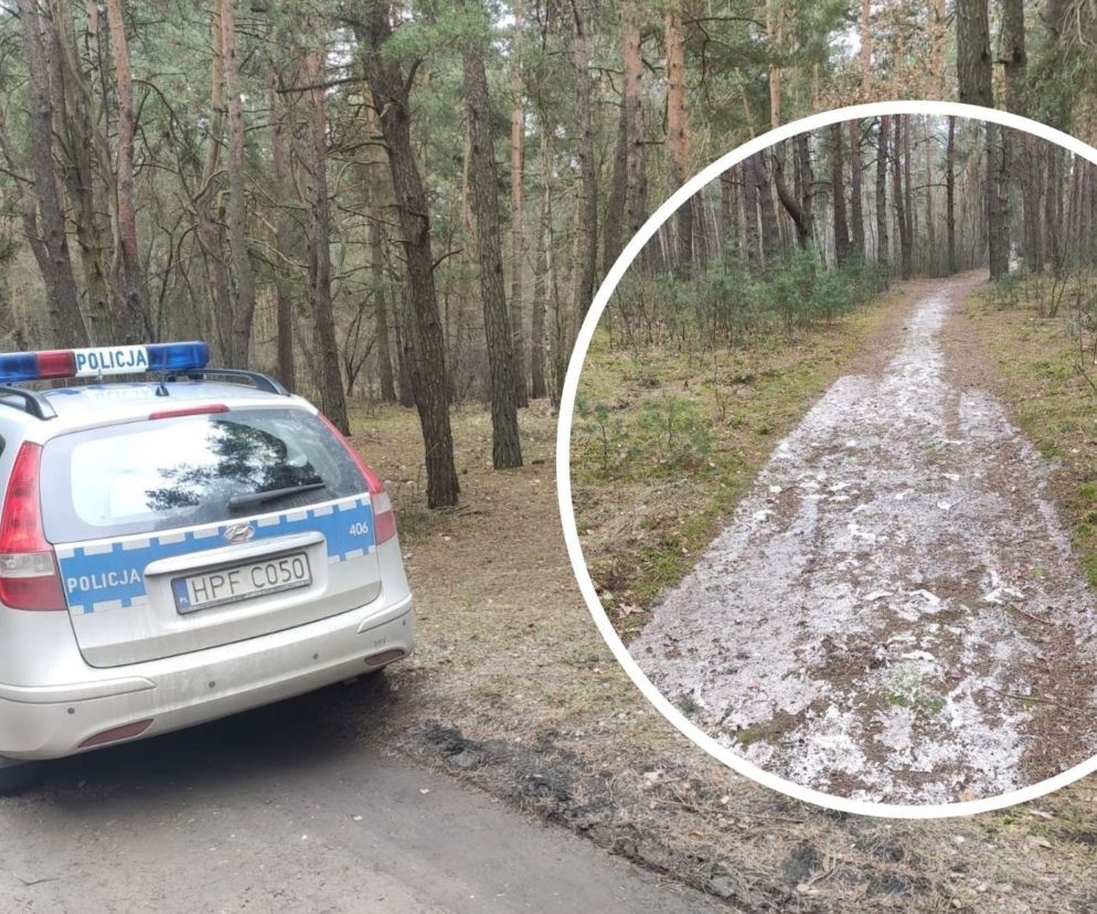 SZOK! 42-latek WYLAŁ SZAMBO DO LASU. Fekalia będzie musiał... POSPRZĄTAĆ