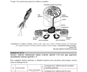 Matura 2018 z biologii. Poziom rozszerzony - arkusze CKE