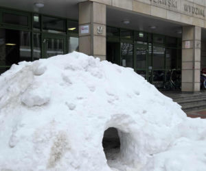 Igloo powstało przed wejściem na Wydział Biologii UW - zima 2026