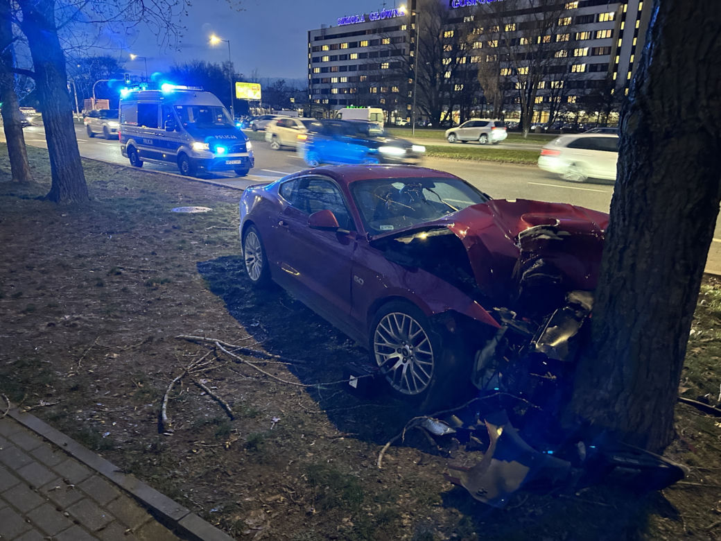 Roztrzaskał się mustangiem na drzewie. Wstrząsający wypadek, kierowca w ciężkim stanie
