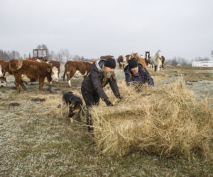 Emilia Korolczuk - gwiazda serialu Rolnicy. Podlasie
