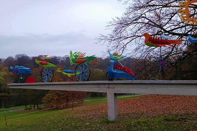 "Ogniste Ptaki" w Parku Kasprowicza w Szczecinie