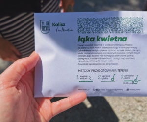 Kalisz (za)kwitnie!