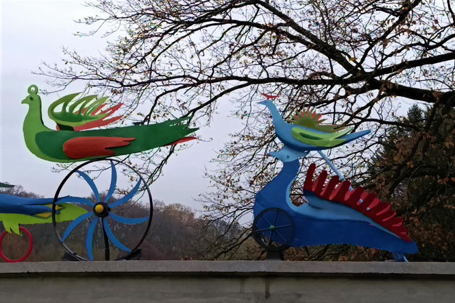 "Ogniste Ptaki" w Parku Kasprowicza w Szczecinie