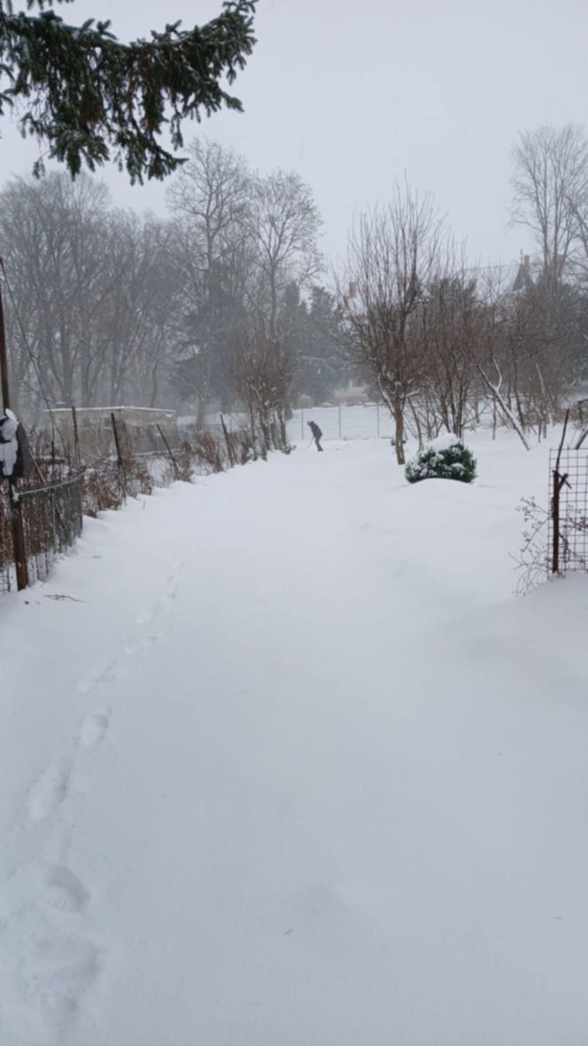 Śnieżyca w powiecie sławieńskim