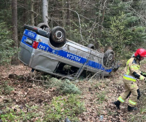 Dachowanie oznakowanego radiowozu na trasie. Policjant chciał uniknąć zderzenia z sarną