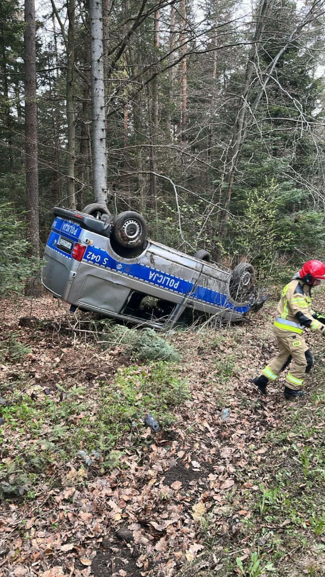 Dachowanie oznakowanego radiowozu na trasie. Policjant chciał uniknąć zderzenia z sarną