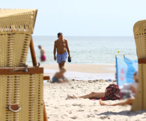 Smutny Englert samotni snuje się po plaży, Zona aktora wybrała zimną północ