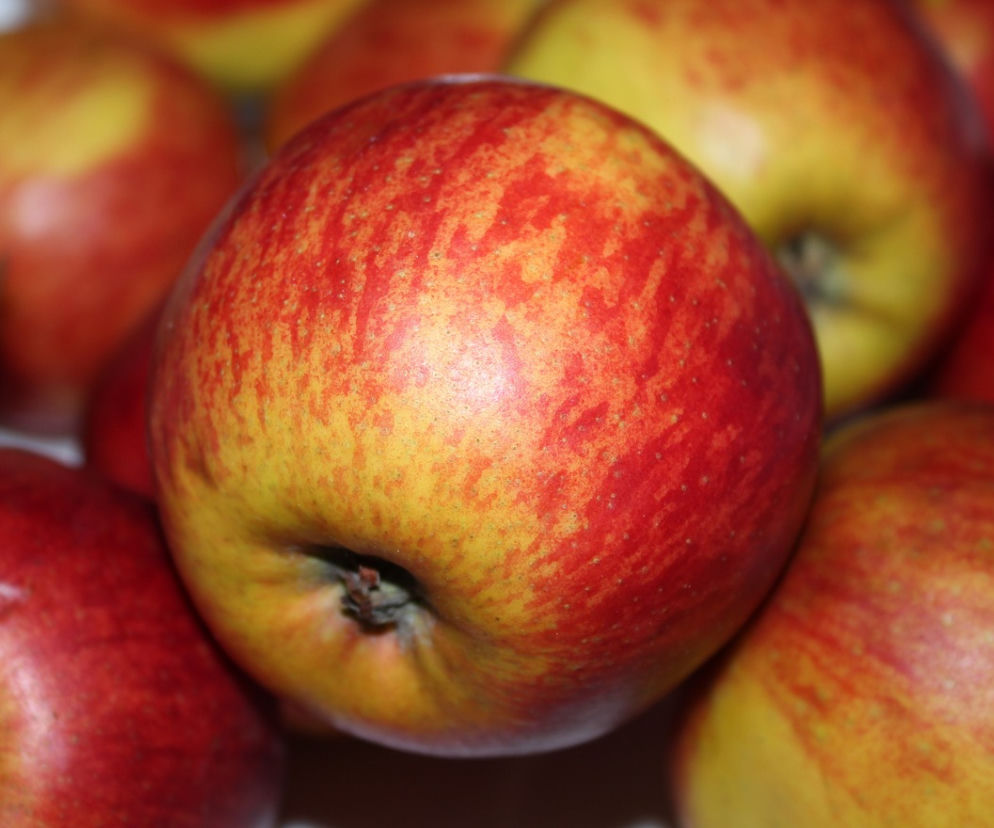 Przemyśl: Będą rozdawać jabłka za śmieci