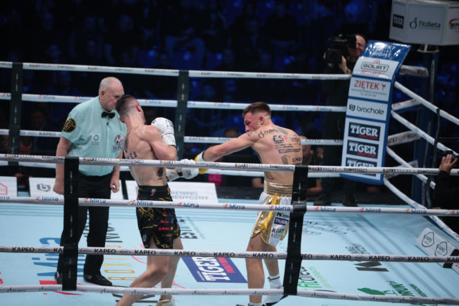 Kalinowski - Stępień