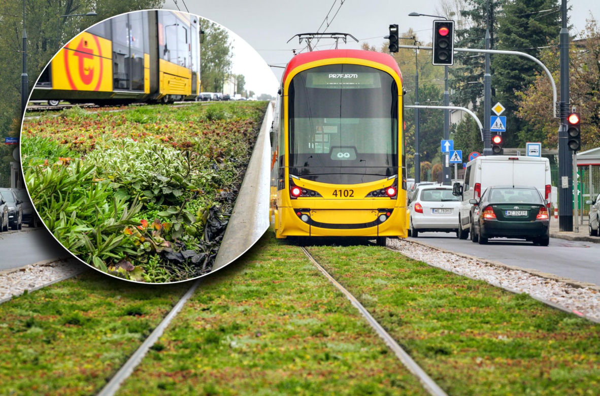 Tory tramwajowe w Warszawie pachną włoską pizzą