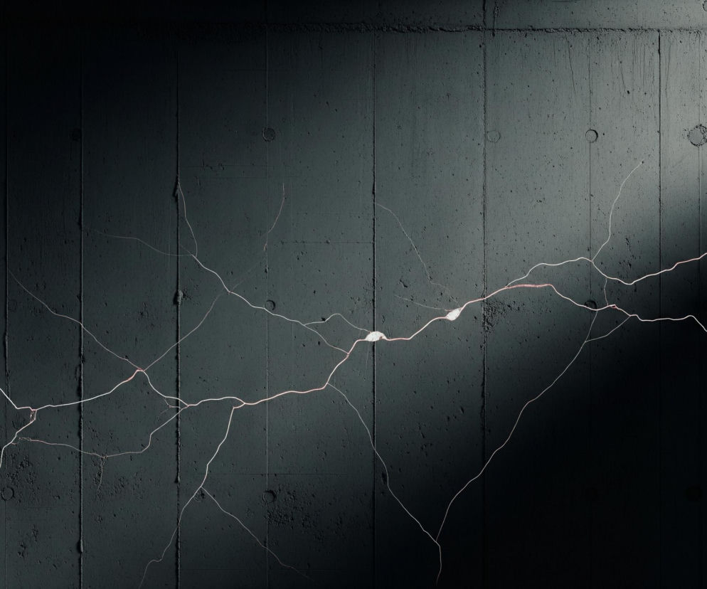 Grafitowa, teksturowana ściana z betonu o widocznych szwach i niewielkich, okrągłych wgłębieniach, przecinana jest skomplikowaną siecią jasnych, czerwonawobiałych pęknięć. Pęknięcia rozchodzą się od lewej do prawej, z główną linią biegnącą mniej więcej przez środek obrazu, a od niej odchodzą liczne mniejsze odgałęzienia. Od lewej górnej części, po skosie w dół, przechodzi jaśniejszy obszar, co sugeruje padające światło, jednocześnie górny lewy róg i cały prawy bok obrazu pogrążone są w głębokim cieniu, intensyfikując kontrast.