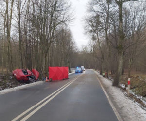 Śmiertelny wypadek pod Elblągiem. Zginęli pasażerowie w wieku 17 i 22 lat [ZDJĘCIA]