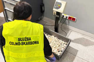 Wrócił z wakacji z nielegalną pamiątką. Pozbierał na plaży 