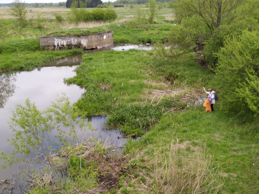 Sprzątanie mostu kolejowego nad rzeką Muchawką - 15.05.2021