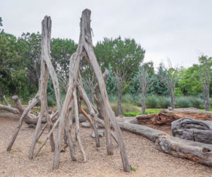 Stumpery Garden