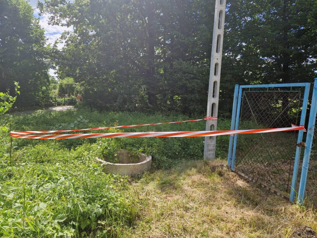 Druhowie z Iwonicza uratowali sarenkę. 