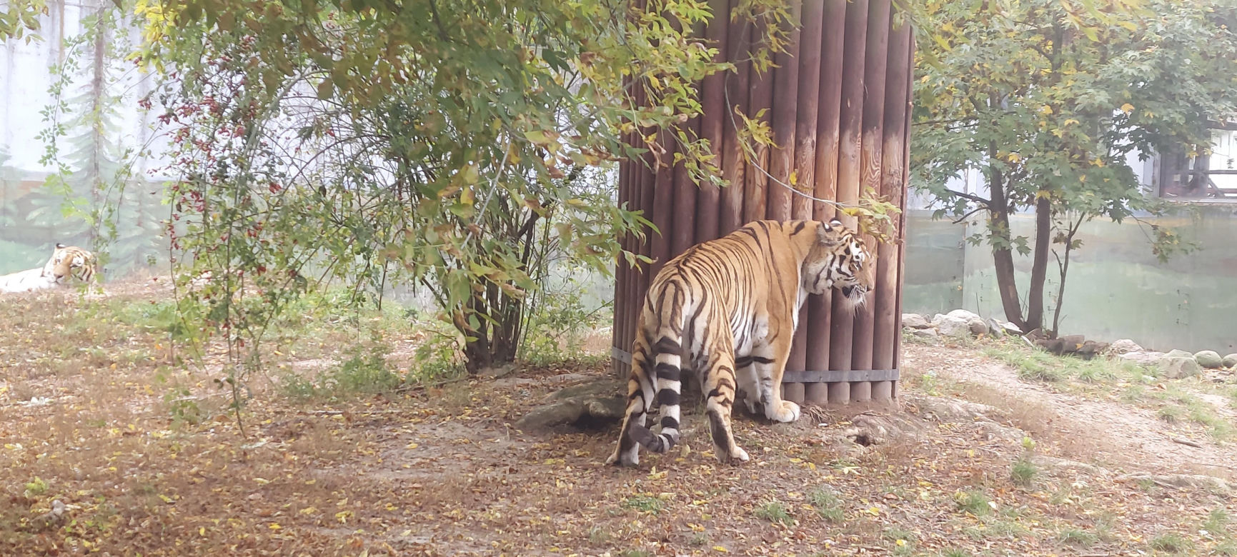 Zoo Zamość