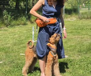 Dogoterapia Kielce