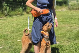 Dogoterapia Kielce