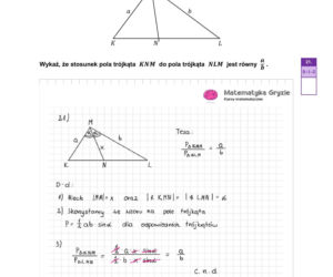 Matura 2026 matematyka: Arkusze CKE i odpowiedzi - sprawdź, czy zdałeś!