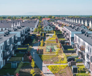 Początek wiosny? Czas zadbać o przydomowy ogródek 