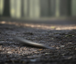 Śmiertelny wypadek w Kocinie. Co doprowadziło do tragedii w powiecie ostrowskim?