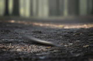 Śmiertelny wypadek w Kocinie. Co doprowadziło do tragedii w powiecie ostrowskim?