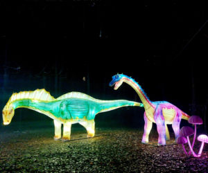 Lumina Park Bydgoszcz