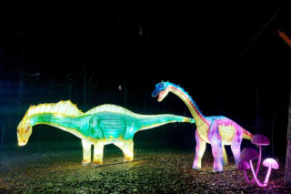 Lumina Park Bydgoszcz