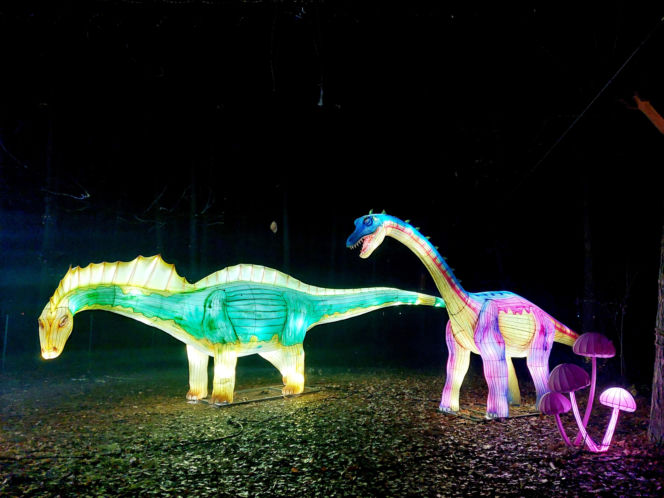 Lumina Park Bydgoszcz